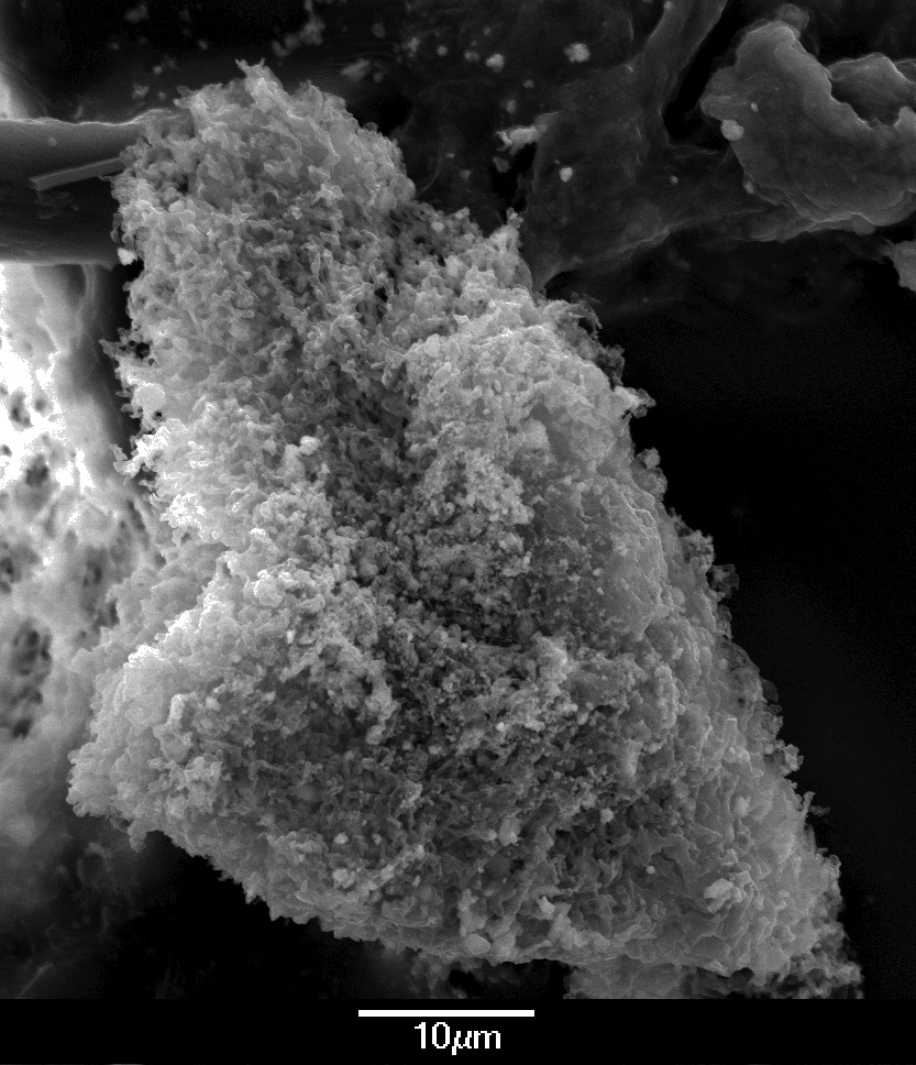 A porous aggregate dust particle from 50,000 year old ice measuring 65 microns on diagonal. © 2015 P. LaViolette